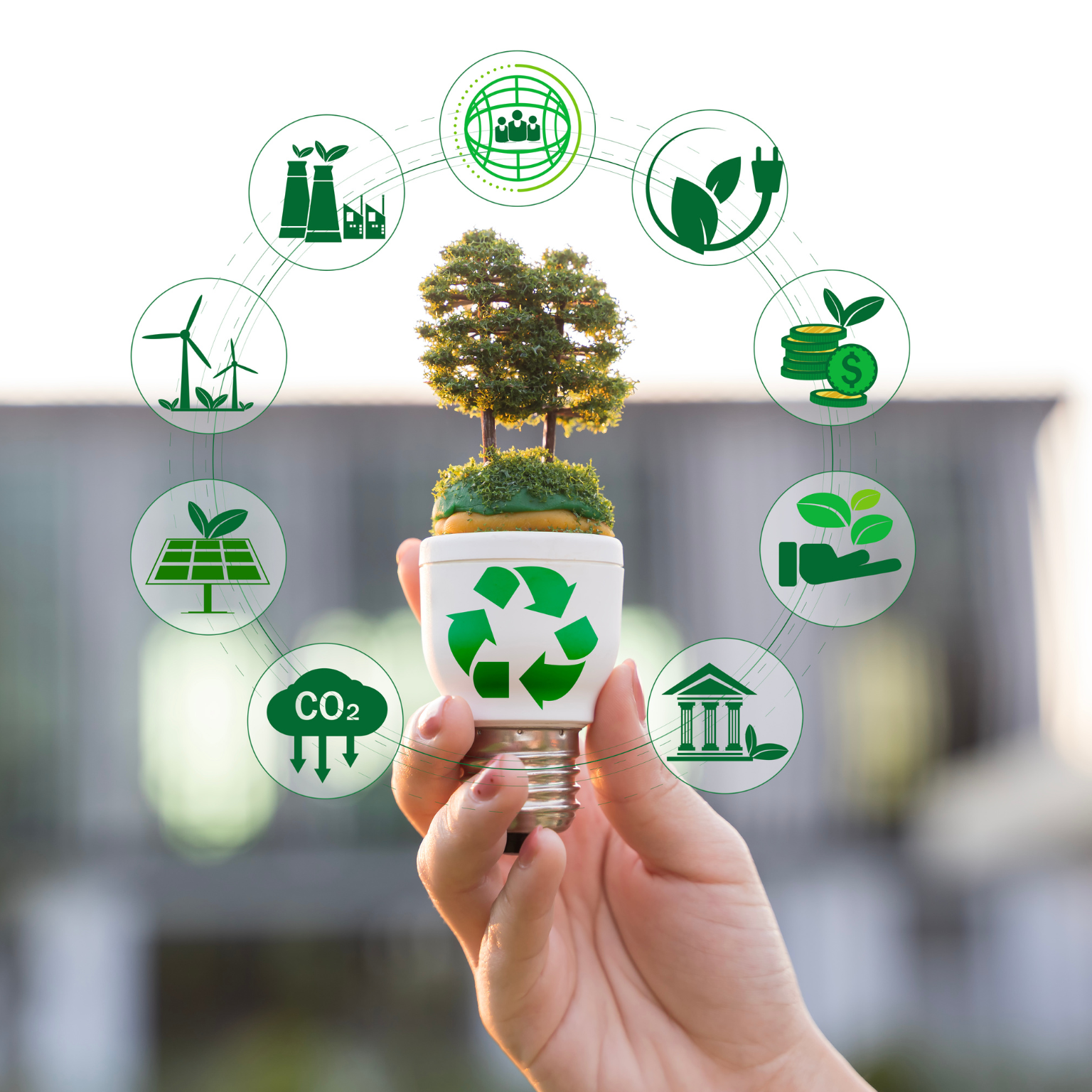 Transizione tra digitale ed ecologica